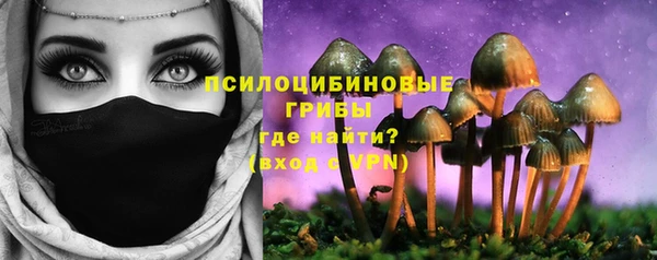 ПСИЛОЦИБИНОВЫЕ ГРИБЫ Карпинск