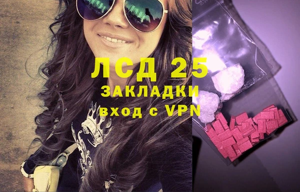 ПСИЛОЦИБИНОВЫЕ ГРИБЫ Карпинск