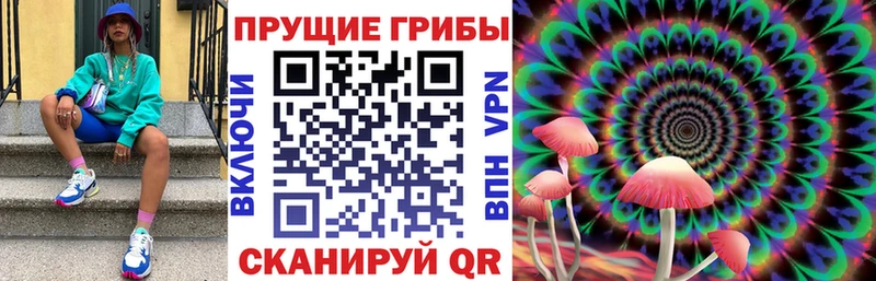 Купить где  Балей  Псилоцибиновые грибы мухоморы 